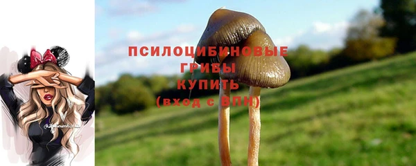 бутират Верея