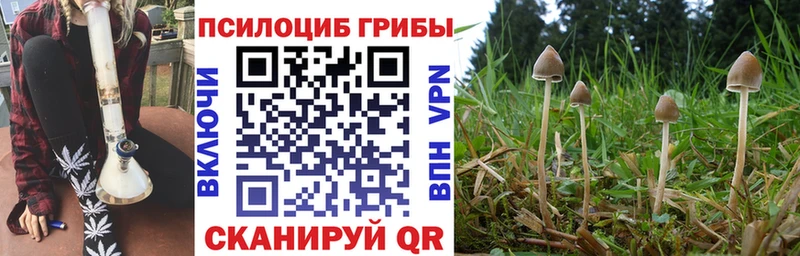 цены   маркетплейс какой сайт  Галлюциногенные грибы Cubensis  Видное 